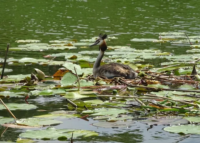 Fh Molkenberg By Interhome בית נופש