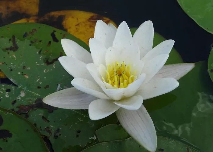 Fh Molkenberg By Interhome *